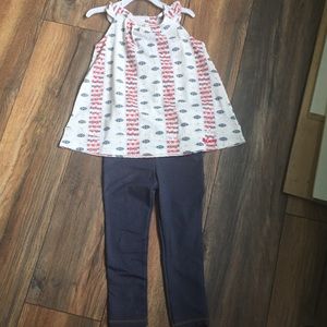 Toddler Girls 4T 2pc outfit